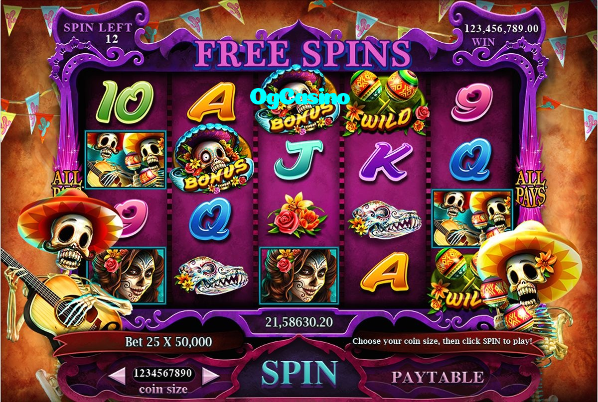 available types of OgCasino bet including pre-match live express and system bets